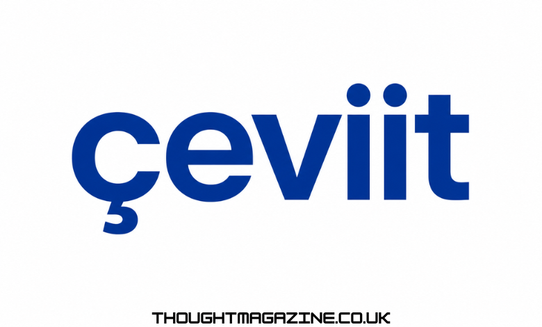 Çeviit: Understanding Interactive Multimedia Content and Its Digital Applications